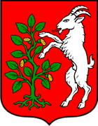 Obrovac - Grb