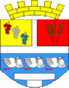 Vinkovci - Grb