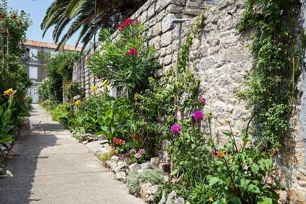 Privatni smještaj Cres - Osor