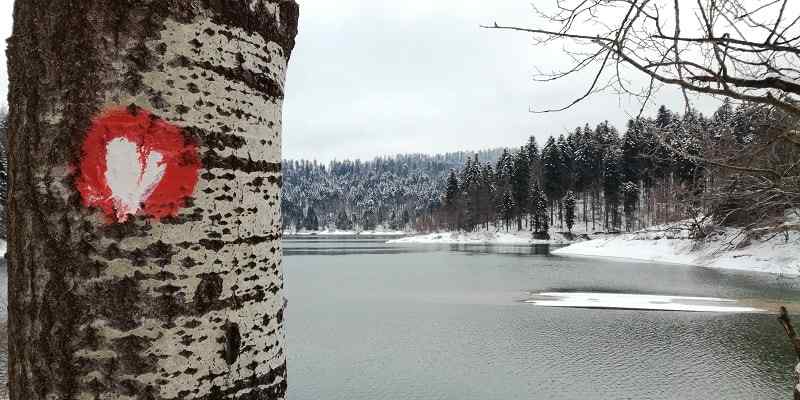 Lokvarsko jezero