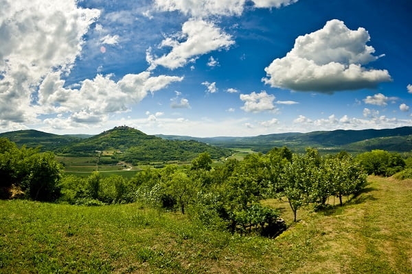 Motovunska šuma - Hrvatska