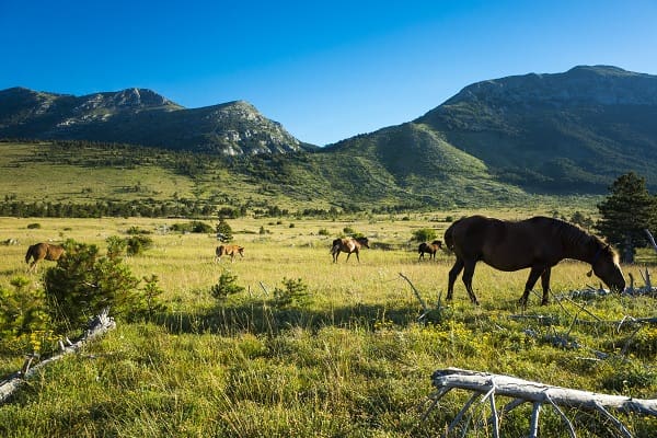 Park prirode Velebit - Hrvatska