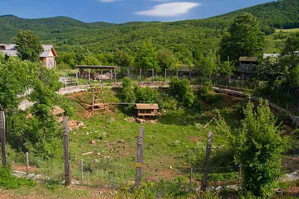 Utočište za medvjede Kuterevo - Hrvatska